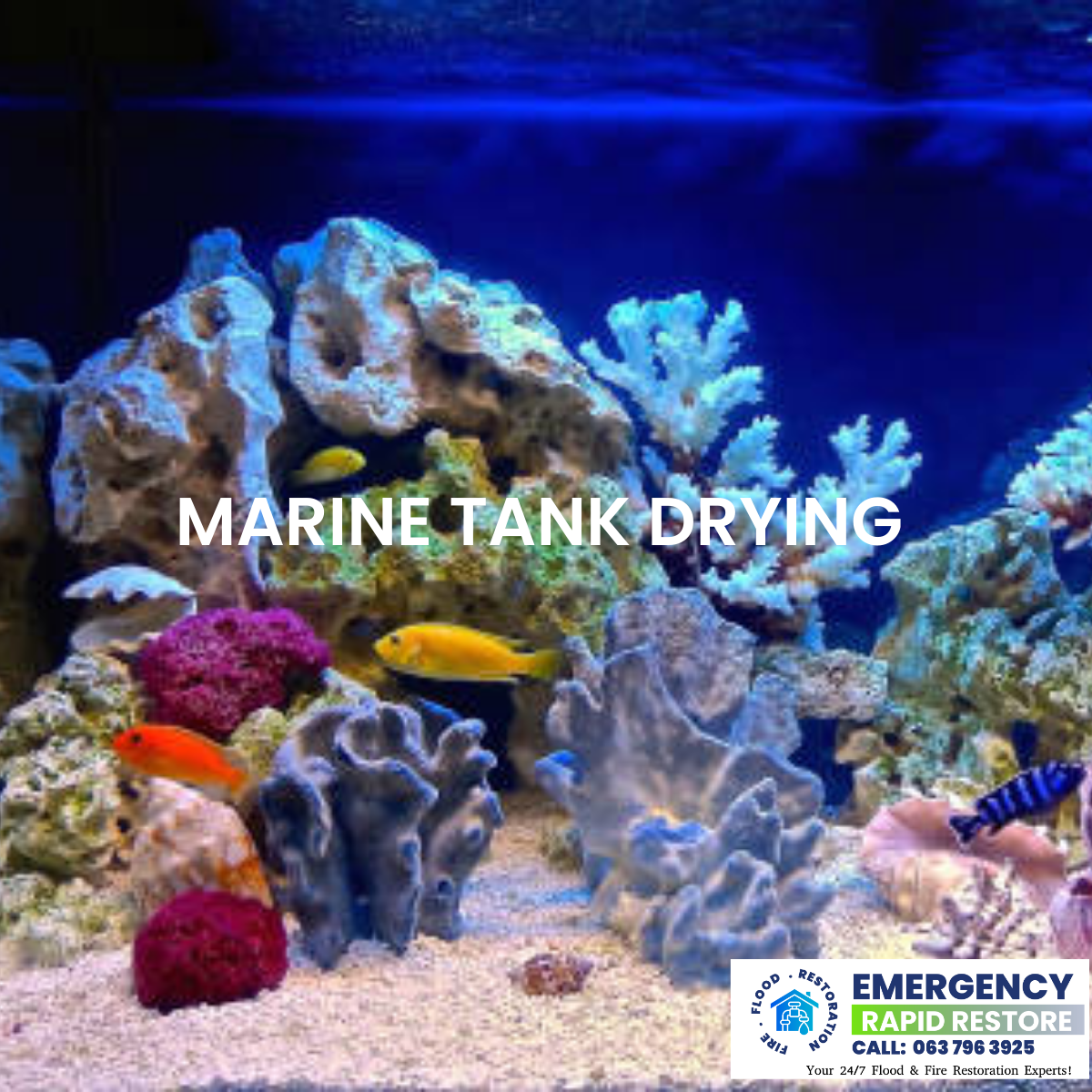 rapid restore marine tank drying service